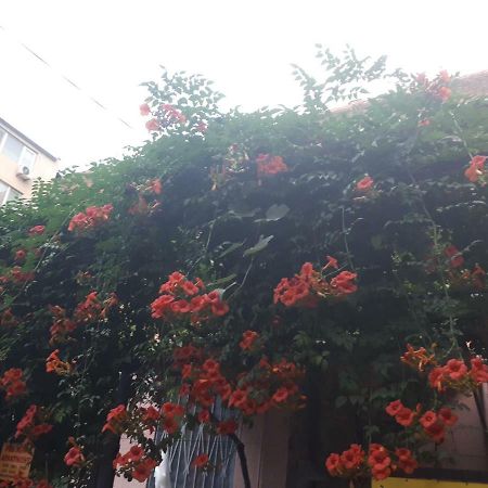 Agmashenebeli95 Aparthotel Tbilisi ภายนอก รูปภาพ